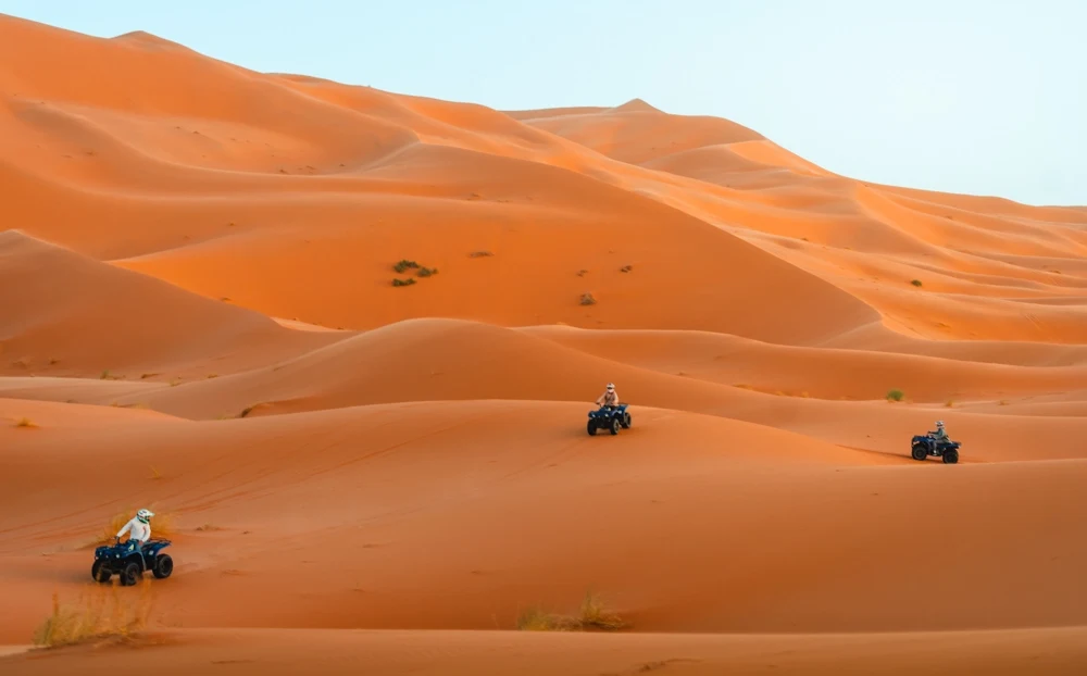 Sahara Desert - Golden Dunes Landscape