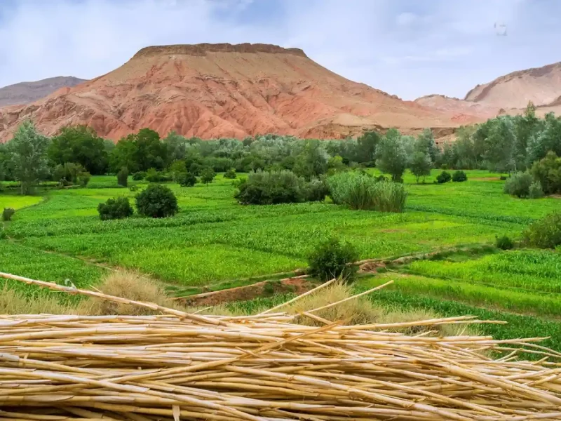 Boumalne Dades Valley