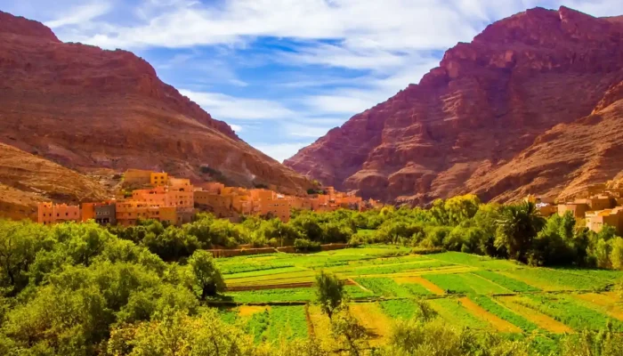 Sahara Desert Camel Trek