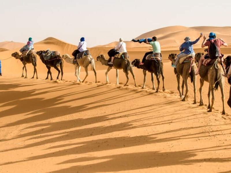 Camel Trekking Sahara Desert